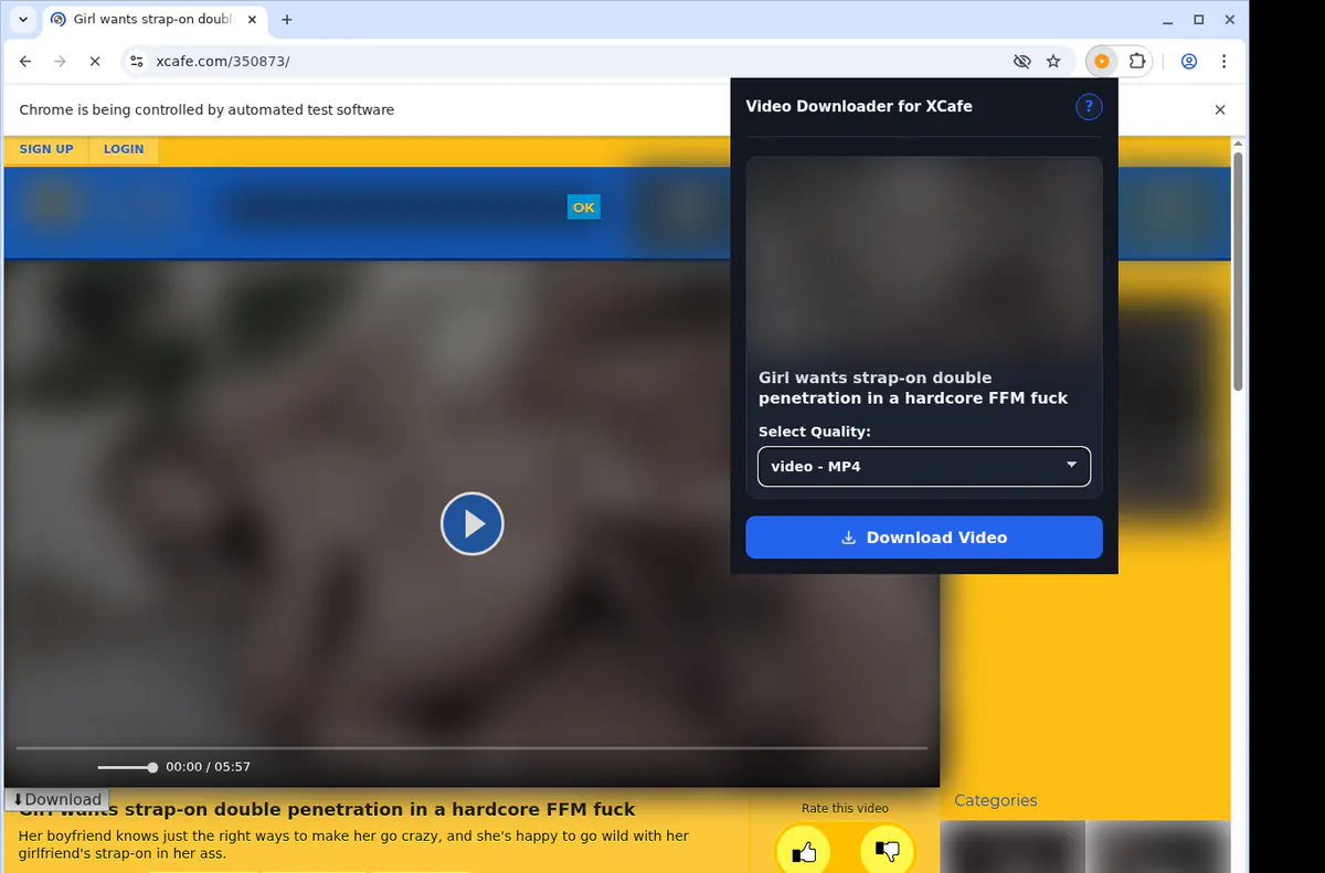 Xcafe Video Downloader browser extension screenshot 3